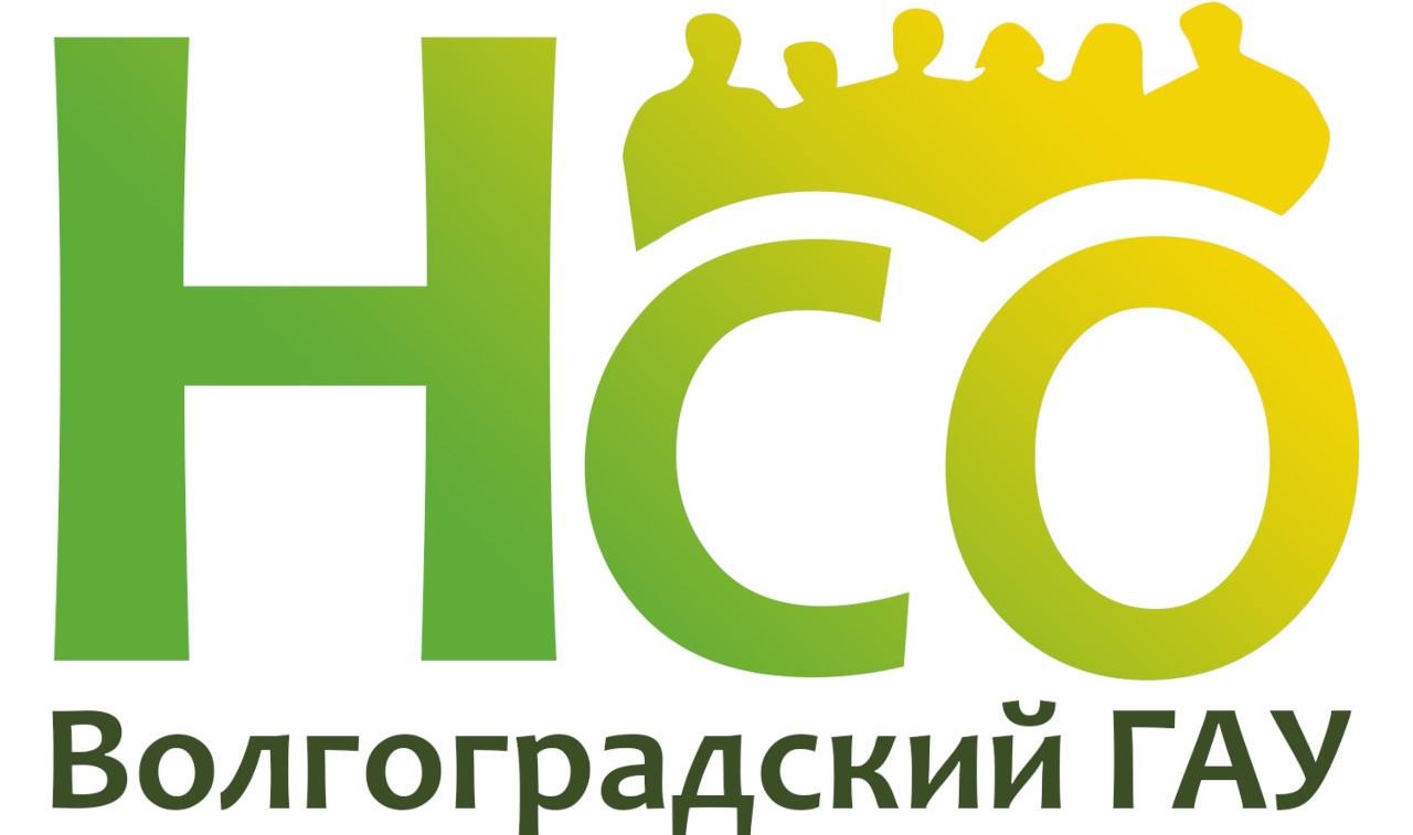 Логотип НСО