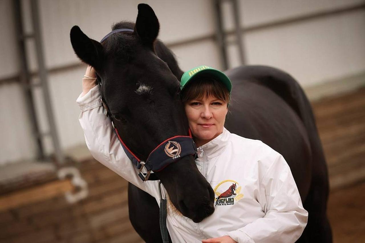 В «Добрыне» рассказали почему конный спорт становится популярным в Волгограде и от чего лечат лошади