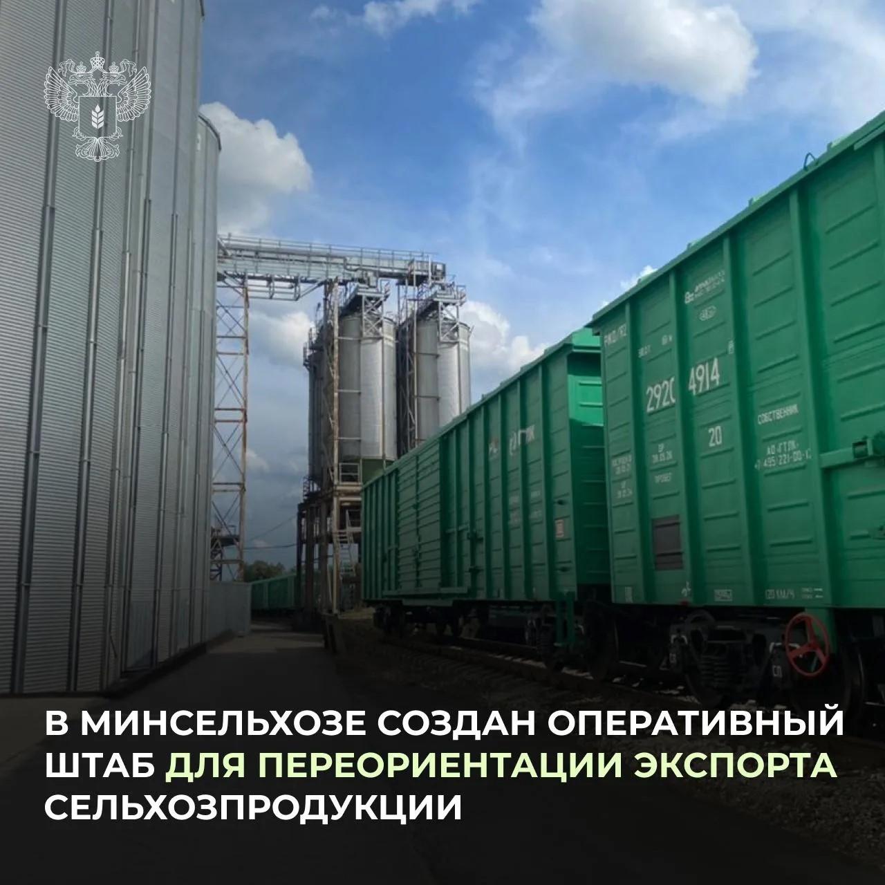 В Минсельхозе создан оперативный штаб для переориентации экспорта сельхозпродукции