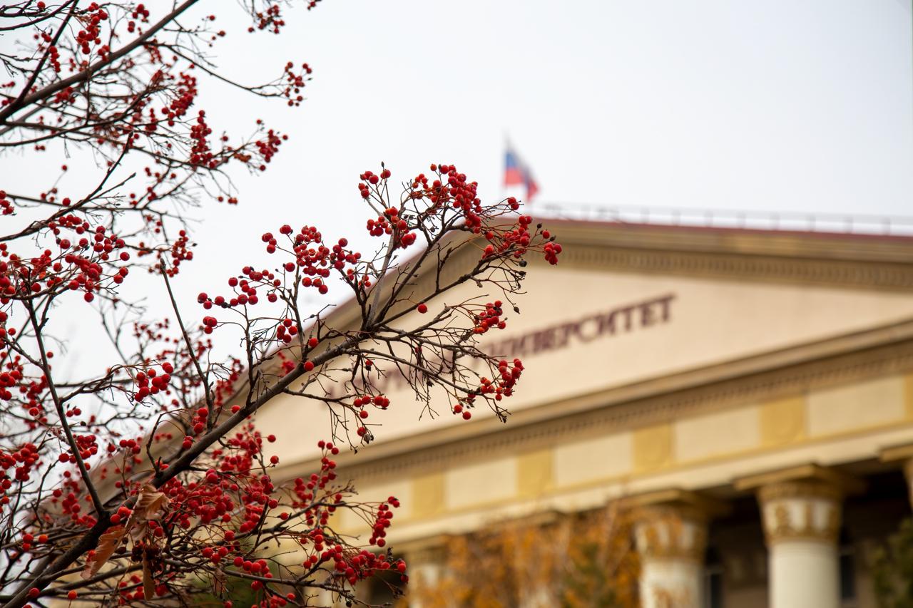 Современное животноводство: задачи, проблемы, решение