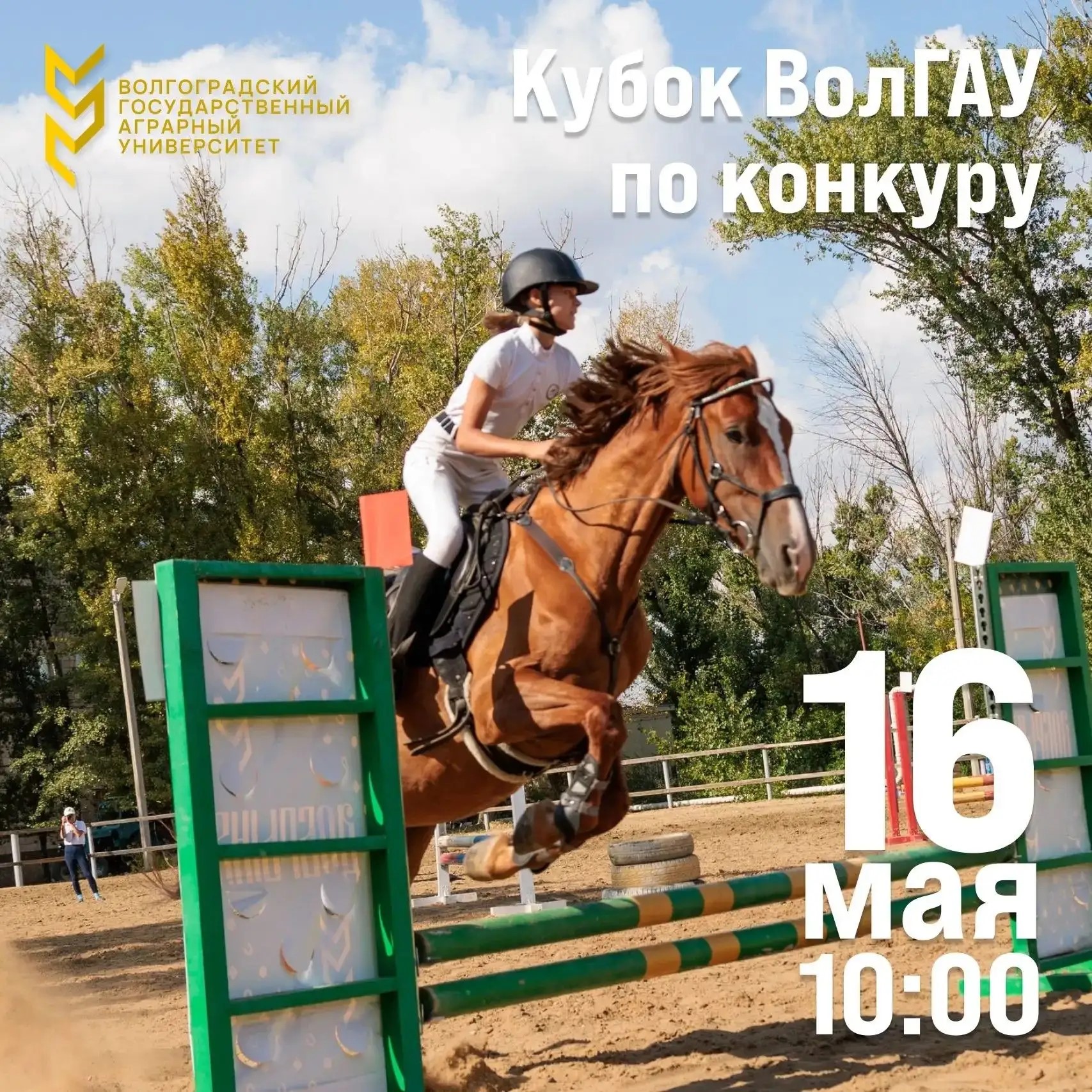 Кубок ВолГАУ по конкуру: приходите поддержать спортсменов!
