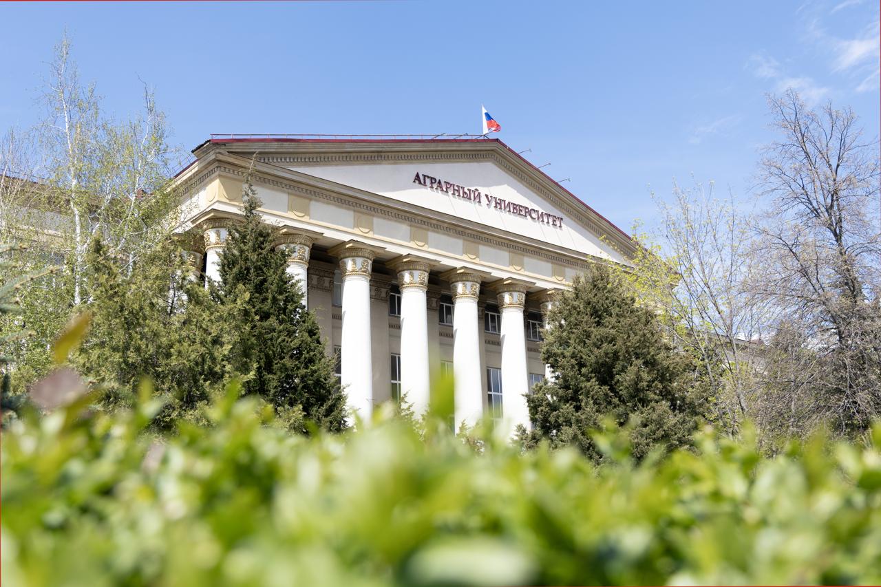 Золотое перо науки: в ВолГАУ определили лучшую курсовую работу по педагогике