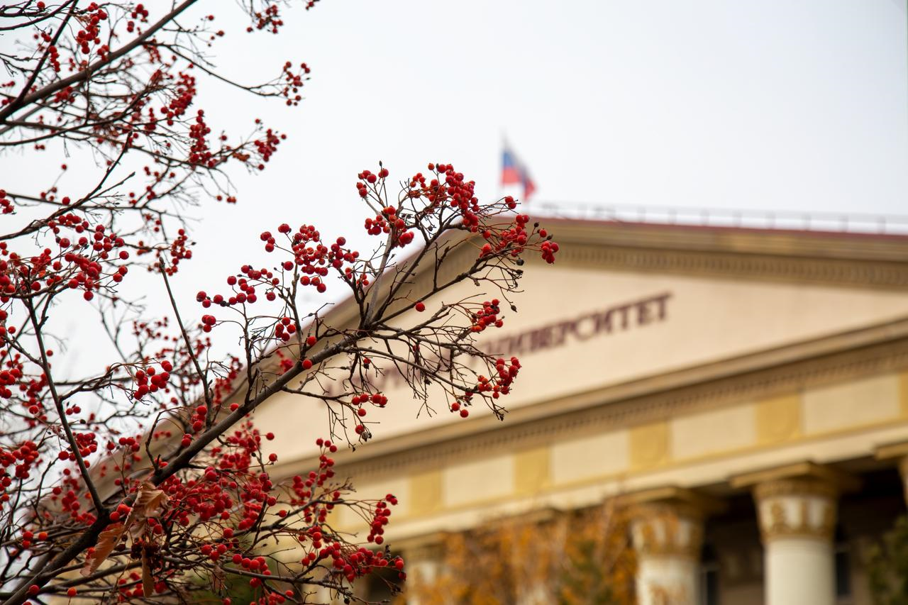 Тестирование на знание основ кибербезопасности