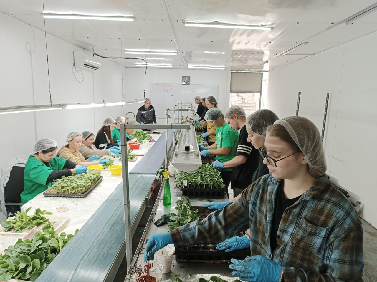 Студенты аграрного университета осваивают профессию овощевода.