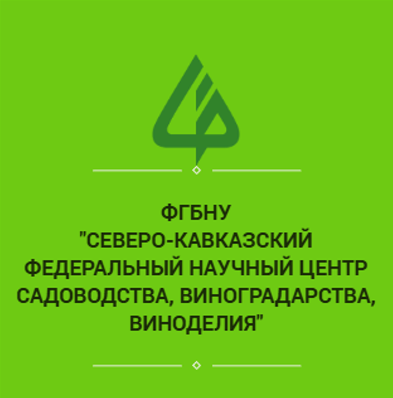 Совет молодых ученых приглашает принять участие во всероссийской конференции