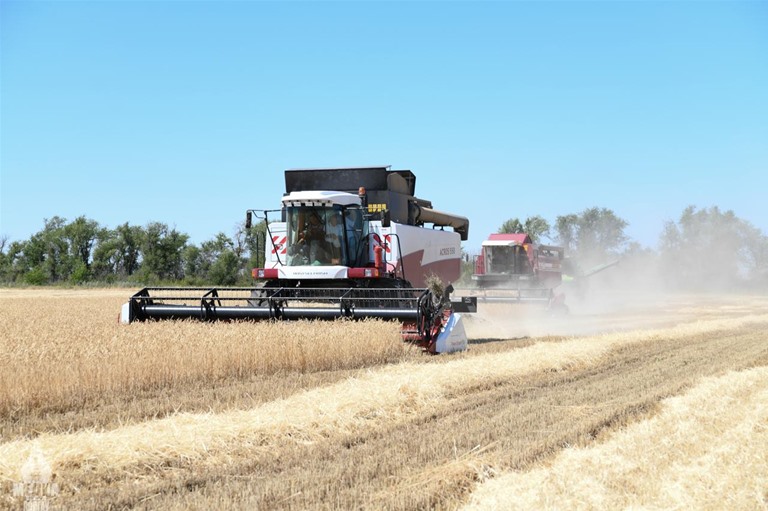 Доступное льготное кредитование помогает развивать сельхозпроизводство в Волгоградской области
