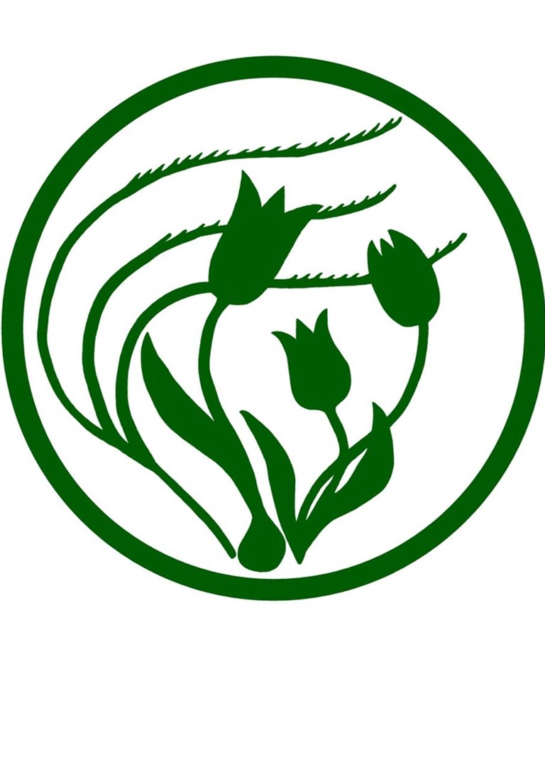 Молодых исследователей приглашают обсудить вопросы экологии