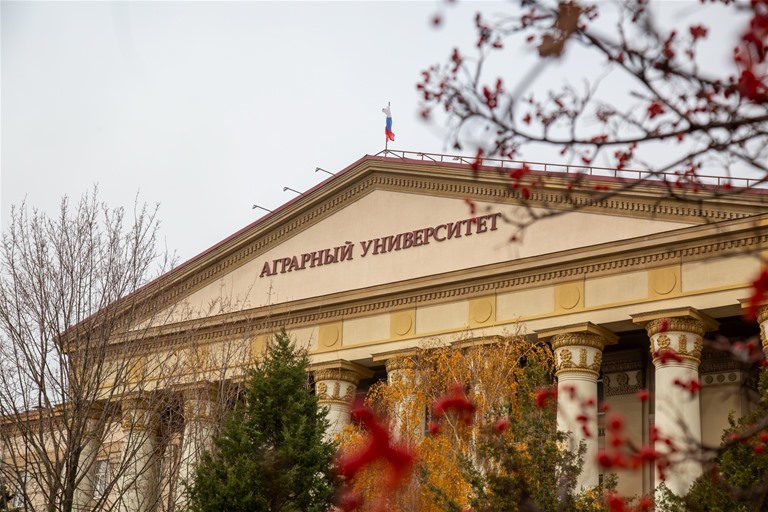 Студенты ВолГАУ стали обладателями стипендий Президента и Правительства Российской Федерации