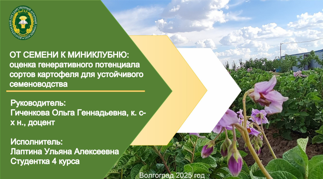 Молодой исследователь ВолГАУ – лучший в международном конкурсе