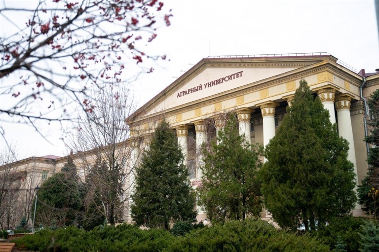 Студенты ИНО стали победителями и призёрами регионального этапа Всероссийского конкурса